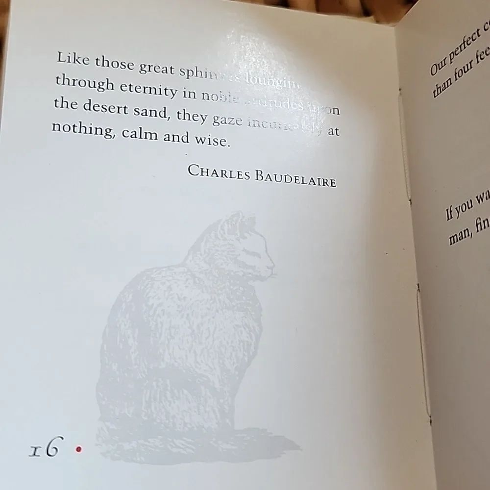 Two Mini Cat Books - Picture 10 of 12